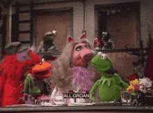 Muppets Muppet Show GIF - Muppets Muppet Show Groan GIFs