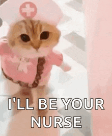 a cat dressed as a nurse with the words `` i 'll be your nurse '' written on it .