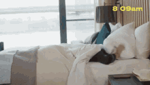 Checking Phone Bed GIF