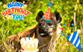 Birthday Hyena Happy Birthday GIF - Birthday Hyena Hyena Birthday GIFs