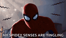 Spider Man Shocked GIF - Spider Man Shocked Surprised GIFs