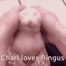 a person is holding a stuffed animal that says " charl loves bingus " on it
