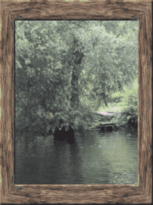 Open Water Nature GIF - Open Water Nature Jump In GIFs