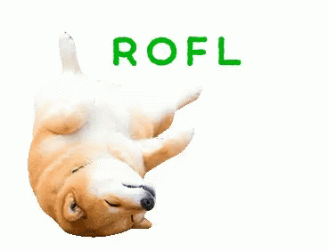 Rofl Roll GIF - Rofl Roll Doggo - Discover & Share GIFs