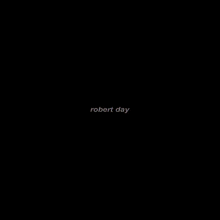 Robert 777 GIF - Robert 777 Zilocybn GIFs