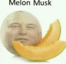 Melon GIF
