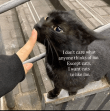 a person petting a black cat that says i don t care what anyone thinks of me