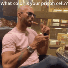 What Color Is Your Prison Cell GIF - What Color Is Your Prison Cell GIFs