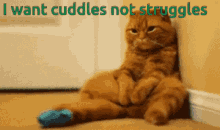 Cuddles Struggle GIF - Cuddles Struggle Cat GIFs