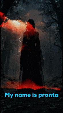 a poster of a woman standing in front of a waterfall with the words my name is pronta below her
