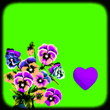 a green background with purple flowers and a purple heart that says " اللهم صل و "
