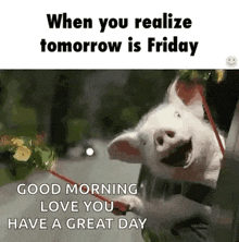Excited Friday Tomorrow GIF - Excited Friday Tomorrow Yay GIFs