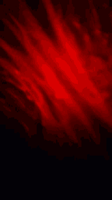 Mikrokosmos Red Lights GIF - Mikrokosmos Red Lights GIFs