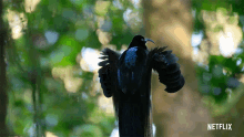 Scream Panic GIF - Scream Panic Bird GIFs
