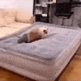 a cat is sitting on top of a mattress in a living room .