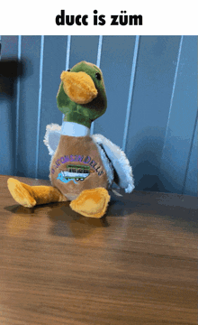 Duck Zoom GIF - Duck Zoom Fast GIFs