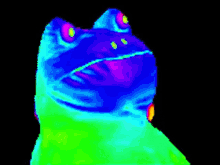 Yeet Colorful GIF - Yeet Colorful Frog GIFs