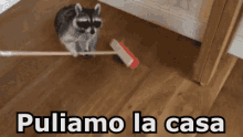 Orsetto Lavatore Pulire Fare Le Pulizie Scopa Pavimento Sporco GIF - Raccoon Clean Clean Up GIFs