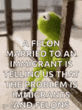 a felon married to an immigrant is telling us that the problem is immigrants and felons .