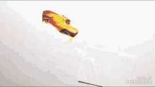 a person is drawing a lion with a pencil and the words made in animatica are visible in the corner