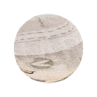 a ball with a picture of a man 's face and the word np on it