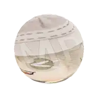 a ball with a picture of a man 's face and the word np on it