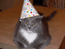 Birthday Cat GIF - Birthday Cat Kitty GIFs