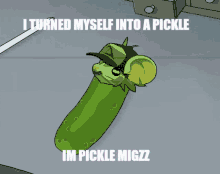 migzz pickle