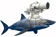 laser shark