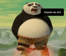 a panda bear is flying through the air with a caption that says pishow ha ore