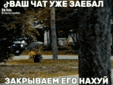 a screenshot of a tiktok video shows a tree in the foreground and a house in the background