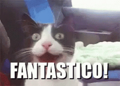 Fantastisk Katt GIF - Fantastisk Katt Kärlek - Discover & GIFs