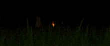 a group of people are standing in the grass in the dark .