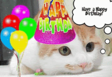 Birthday Cat Balloons GIF