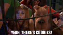 Scooby Doo Yeah Theres Cookies GIF - Scooby Doo Yeah Theres Cookies Cookies GIFs