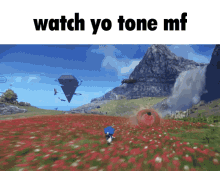 Watch Yo Tone Mf Sonic GIF - Watch Yo Tone Mf Watch Yo Tone Sonic GIFs