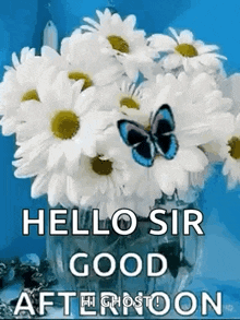 a bunch of daisies in a vase with a blue butterfly on them .