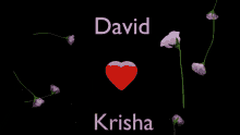 David Krisha Krisha GIF - David Krisha Krisha David GIFs