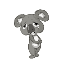 hangouts koala sad cry crying