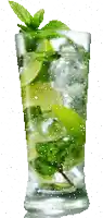 a glass of water with ice and lime slices