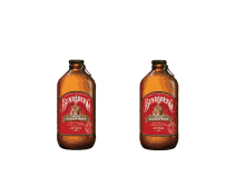 cheers bundaberg spiced ginger beer toast