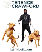 a poster for terence crawford shows a man walking two dogs on leashes