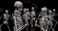Twerk Skeleton GIF - Twerk Skeleton Dance GIFs