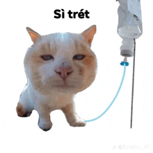 a white cat with a blue hose attached to it and the word si trent written on the bottom