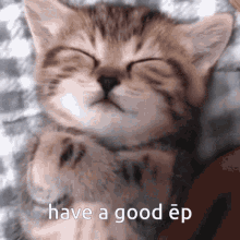 Gn Goodnight GIF - Gn Goodnight Cat GIFs