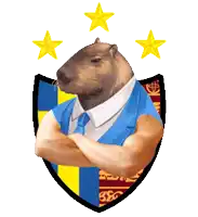 a capybara wearing a suit and tie stands in front of three stars