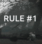 Rule Discord GIF - Rule Discord Chivalry GIFs