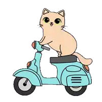 a cartoon cat is riding a blue scooter on a white background .