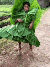 Slaying Floptok GIF - Slaying Floptok Boy Dressed As A Lettuce GIFs