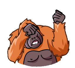 Orangutan Telegram Orangutan Sticker